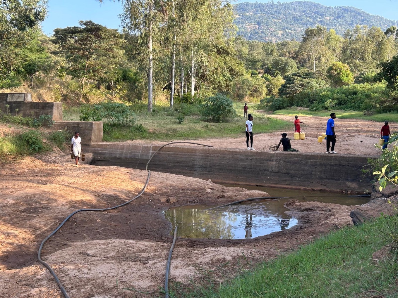 Image - 2025-03-03T111350.042